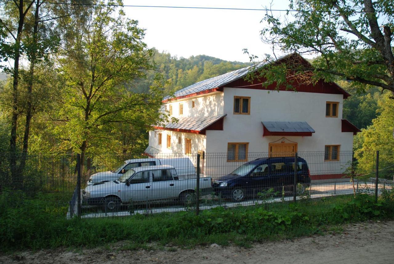 Pensiunea Tara Vulcăneasa 外观 照片