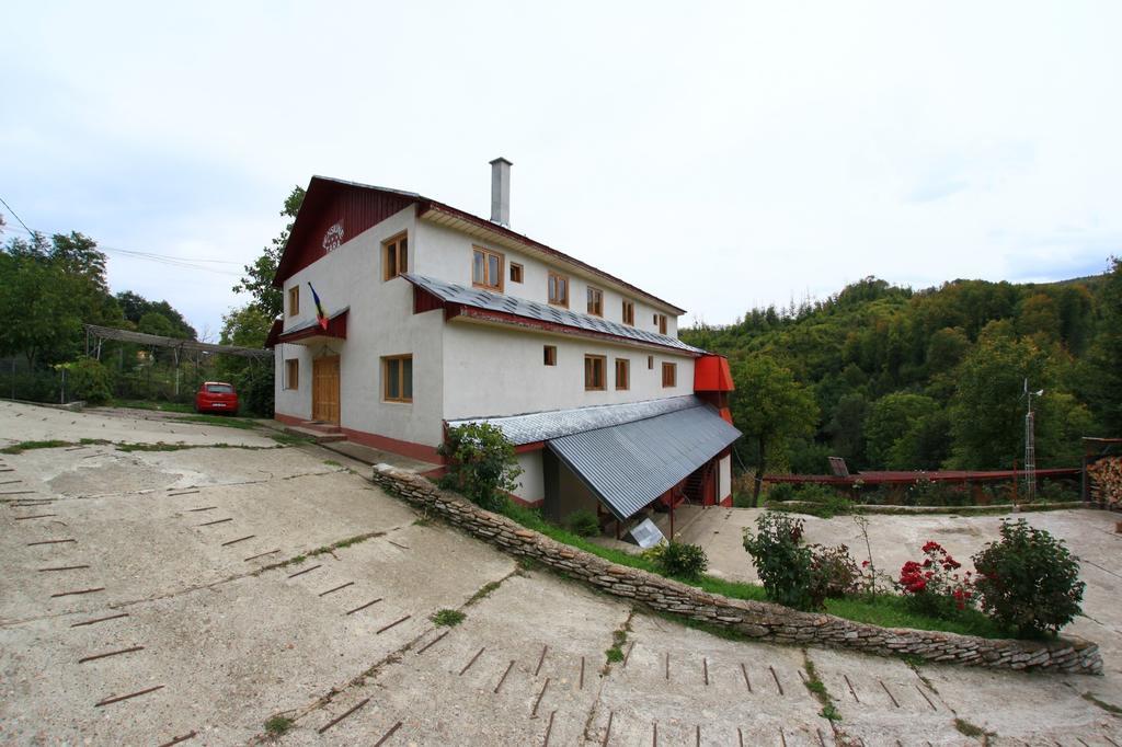 Pensiunea Tara Vulcăneasa 外观 照片