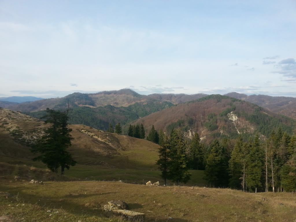 Pensiunea Tara Vulcăneasa 外观 照片